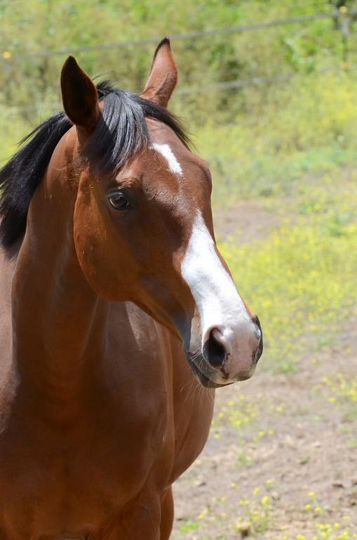 Curtis in the sunlight. (Square Peg Foundation/Robyn Peters Photography )